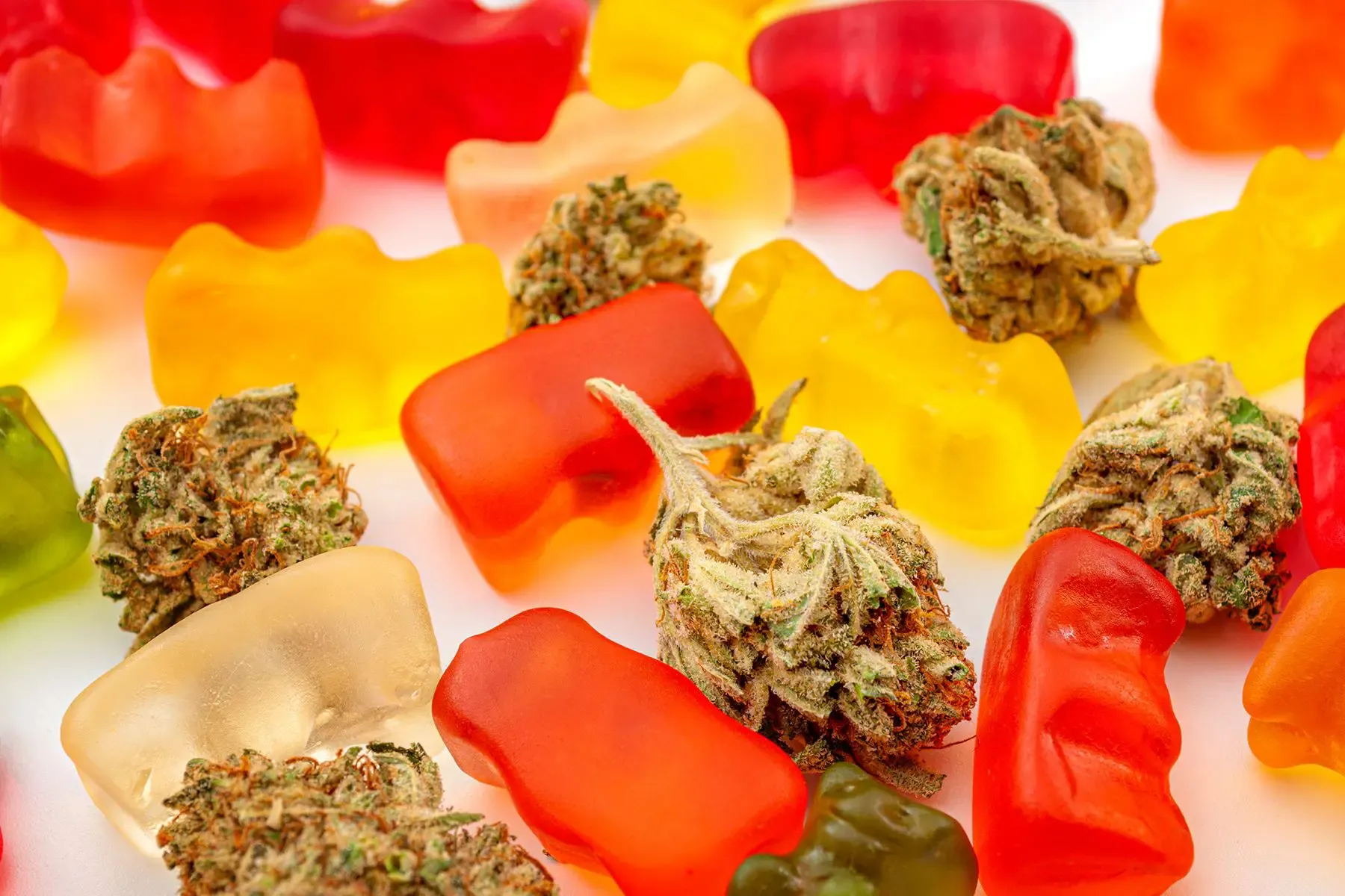 Explore the Latest Best CBN Gummies Recommendations Before Your Next Purchase